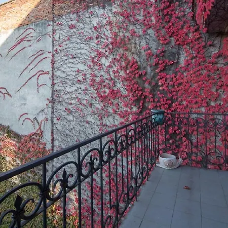 Alfa Ivana Franka Apartman